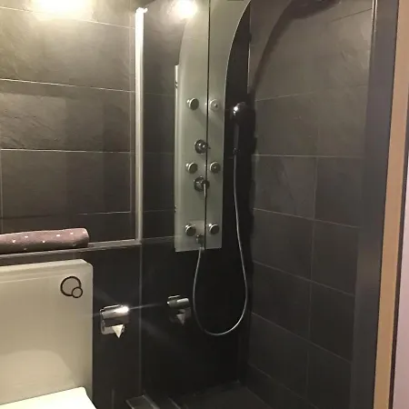 Daire Refugi Blegl - Alpine Apartment In Disentis