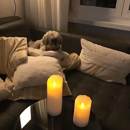 Refugi Blegl - Alpine Apartment In Disentis * Disentis