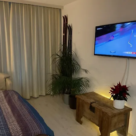 Daire Refugi Blegl - Alpine Apartment In Disentis