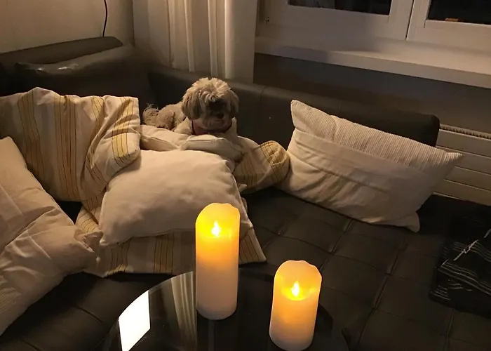 Refugi Blegl - Alpine In * 迪森蒂斯