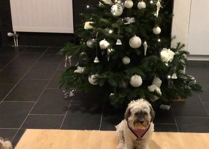 Apartament Refugi Blegl - Alpine In *