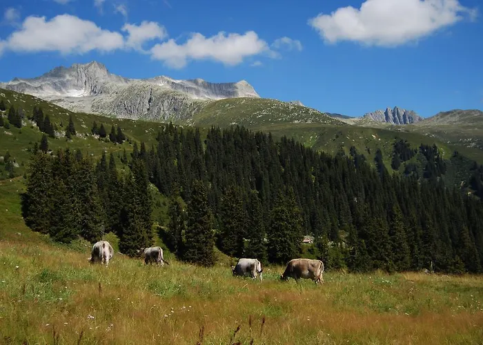 Refugi Blegl - Alpine In 公寓 *