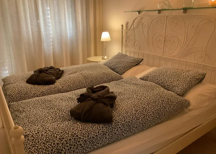 公寓 Refugi Blegl - Alpine In 迪森蒂斯